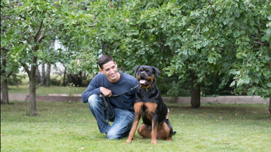 Sean Comassi | Comassi Canine Coaching