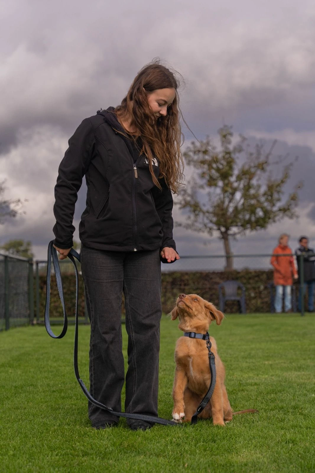 photo - N&N Dogtrainers