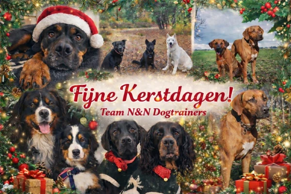 Fijne Feestdagen!